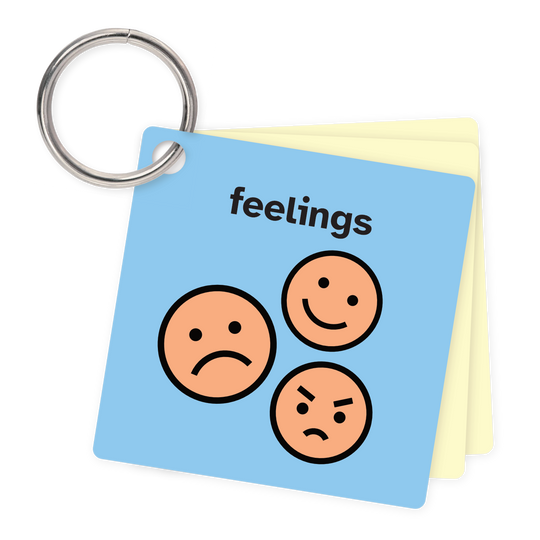 Feelings Keychain